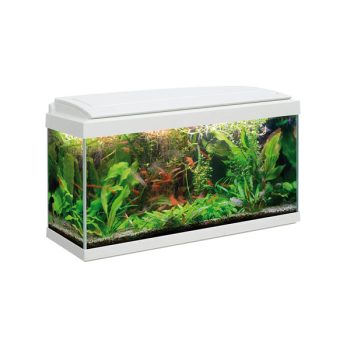 Haquoss Evolution 80 White 80lt - Sales