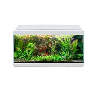 Haquoss Evolution 80 White 80lt - Image 2