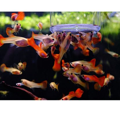 Ziss Aqua Brine Shrimp Collector/Feeder 013mm o8,5×6,5cm - Γεννήστρες