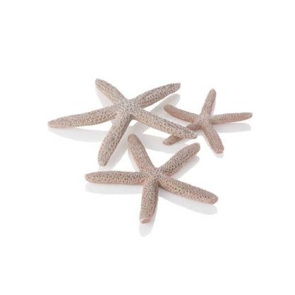 Oase BiOrb Decor Starfish Set 3 Natural - Διακόσμηση Ενυδρείου