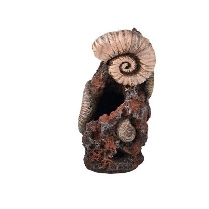 Oase Βiorb Ancient Conch Ornament - Τεχνητά Διακοσμητικά
