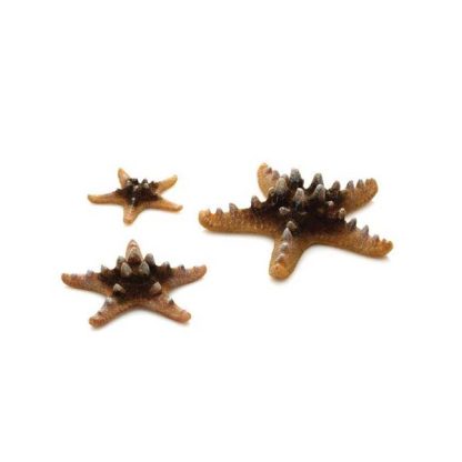 Oase ΒiOrb Decor Starfish Set 3 Pink - Τεχνητά Διακοσμητικά