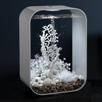 Oase BiOrb Fan Coral Ornament  White - Τεχνητά Διακοσμητικά