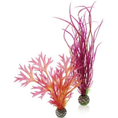 Oase BiOrb Plant Set M Red & Pink - Τεχνητά Διακοσμητικά