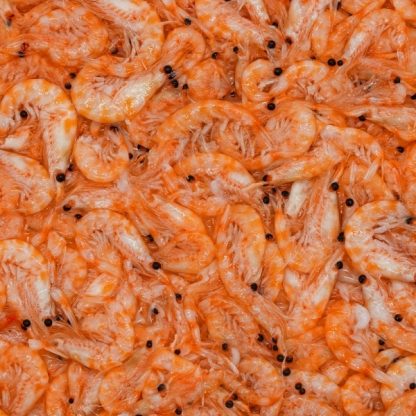 Stoffels Krill Superba100gr - Κατεψυγμένες τροφές