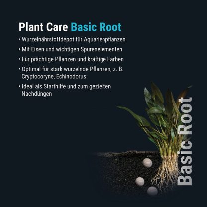 Dennerle Plant Care Basic Root 40tabs - Υγρά Λιπάσματα