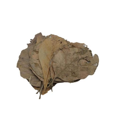 Ceramic Nature Teak Leaves 10pc - Πρόσθετα