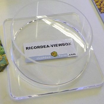PREIS – Ricordea view box - Fragging