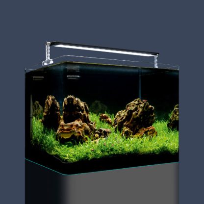 Dennerle Nano Tank Plant Pro 55lt - Μικρά < 60 lt