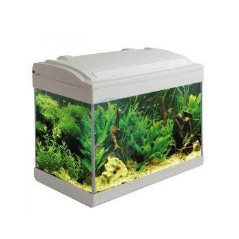 Haquoss Evolution 40 white 21lt - Perm Sales