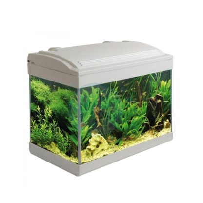 Haquoss Evolution 40 white 21lt - Perm Sales