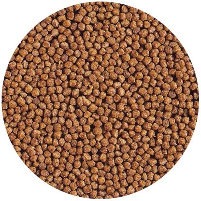 Hikari Goldfish Gold Baby Pellet Growth 100gr - Ξηρές τροφές