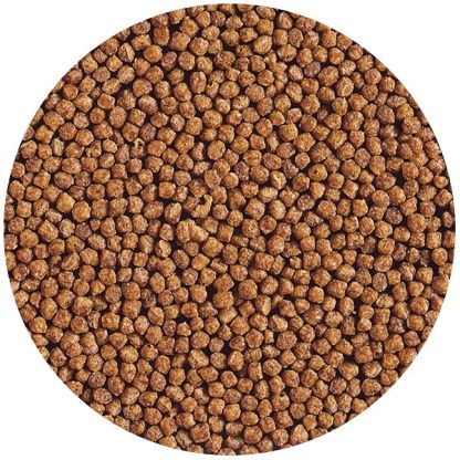 Hikari Goldfish Gold Baby Pellet Growth 100gr - Ξηρές τροφές