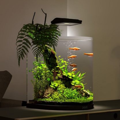 Tetra AquaArt Explorer Line 30lt - Sales