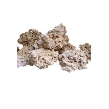 Aqua Della Cauliflower Coral S - Τεχνητά Διακοσμητικά