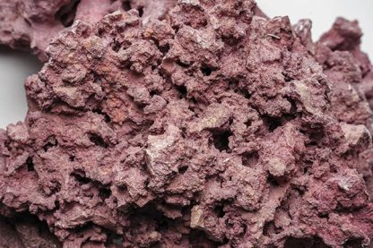 D-D Marco Coralline Rock Foundation 1kg - Bράχος Θαλασσινού