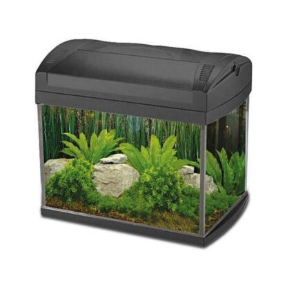 Boyu 401 40Lt 35x53x32 - Μικρά < 60 lt