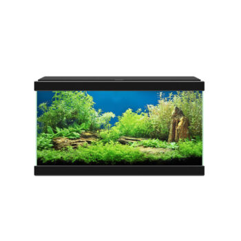 Ciano Aqua 20 - Μικρά < 60 lt