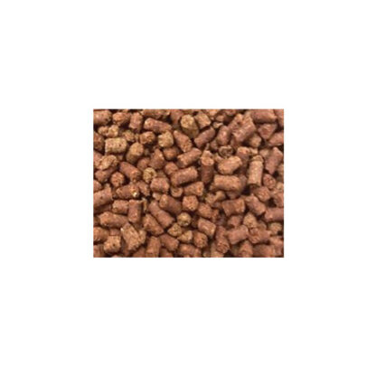 Haquoss Axolotl Premium 100ml - Ξηρές τροφές