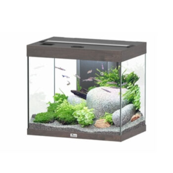 Aquatlantis Splendid Ultra Aquarium Anthracite Grey Matte... - Mεσαία