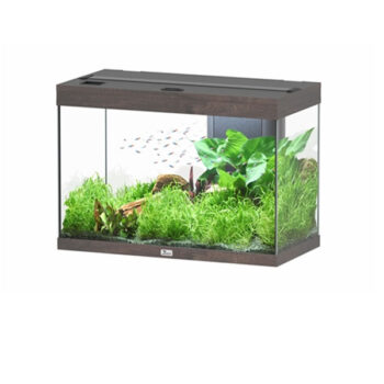Aquatlantis Splendid Ultra Aquarium Anthracite Grey Matte... - Mεσαία
