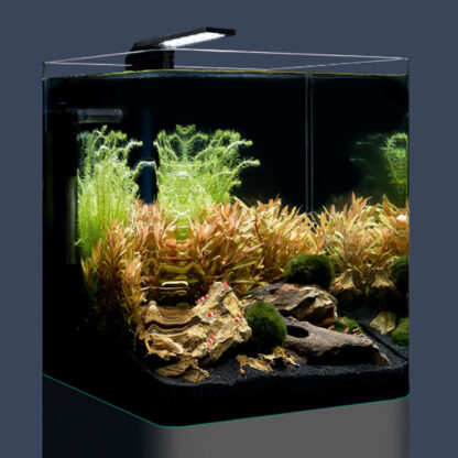 Dennerle Nano Cube Basic 20lt - Μικρά < 60 lt