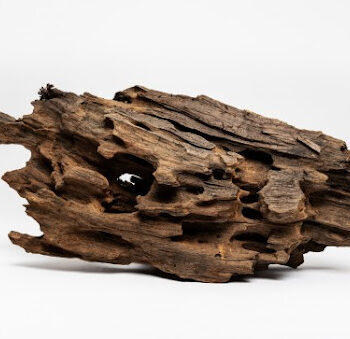 Aquadeco Dragon Wood S 0.1-0.25 // per piece - Ξύλα