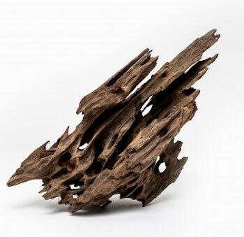 Aquadeco Dragon Wood M 0.35-0.6 // per piece - Ξύλα