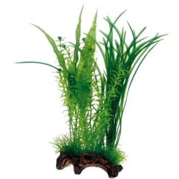 Hobby Flora Root 1 L 30cm - Τεχνητά Διακοσμητικά