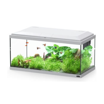 Aquatlantis Brussels Aquarium Grey 105lt - Ενυδρεία