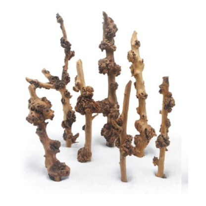 Haquoss Savana Wood Large 40/50cm - Ξύλα