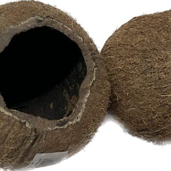 Nature4Pets Coconut shelter 12cm & 8-12cm high - Τεχνητά Διακοσμητικά