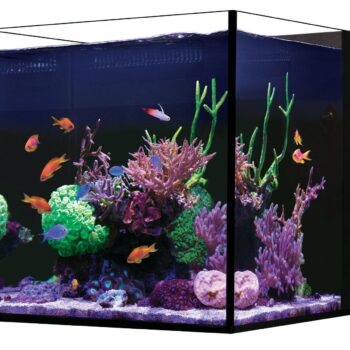 Red Sea Desktop Cube tank - Mεσαία