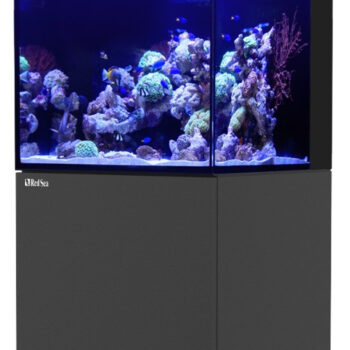 Red Sea MAX® E – 170 LED (with ReefLED) – Black - Mεσαία