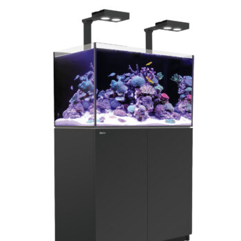 Red Sea REEFER™ 250 G2+ Deluxe System Black- (incl. 2 x R... - Μεγάλα > 180 lt