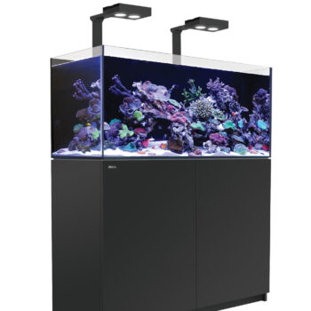 Red Sea REEFER™ 350 G2+ Deluxe System – Black (incl... - Μεγάλα > 180 lt