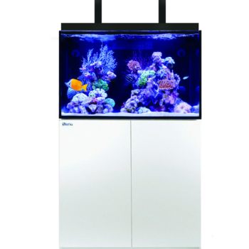 Red Sea MAX® E – 260 LED (with 2 ReefLED) – W... - Μεγάλα > 180 lt