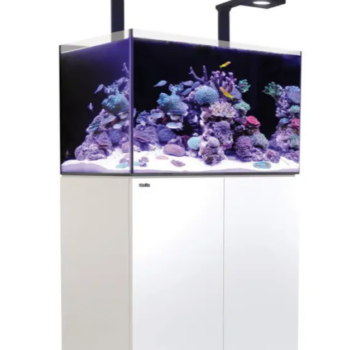 Red Sea REEFER™ 250 G2+ Deluxe System White- (incl. 2 x R... - Ενυδρεία