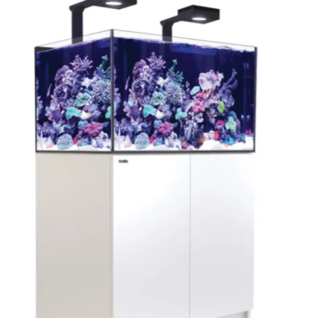 Red Sea REEFER™ XL300 G2+ Deluxe System – White (in... - Μεγάλα > 180 lt