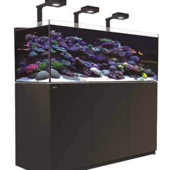 Red Sea REEFER™ XL525 G2+ Deluxe System – Black (in... - Μεγάλα > 180 lt