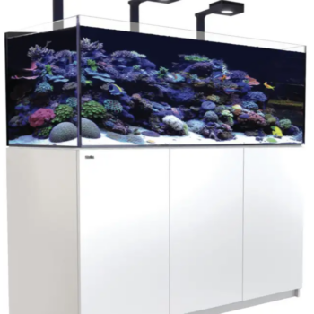 Red Sea REEFER™ XL525 G2+ Deluxe System – White (in... - Μεγάλα > 180 lt