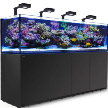 Red Sea REEFER™ XXXL900 G2+ Deluxe  System – Black ... - Μεγάλα > 180 lt