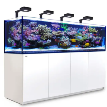 Red Sea REEFER™ XXXL900 G2+ Deluxe  System – White ... - Μεγάλα > 180 lt