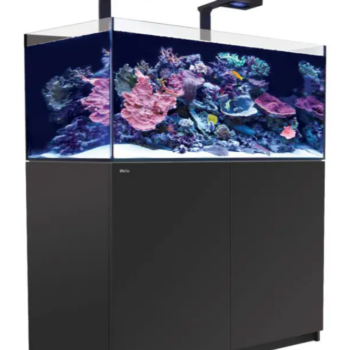 Red Sea REEFER™ XL425 G2+ Deluxe System – Black (in... - Μεγάλα > 180 lt