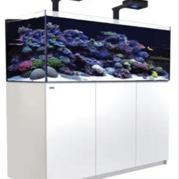 Red Sea REEFER™ XL525 G2+ Deluxe System – White (in... - Μεγάλα > 180 lt