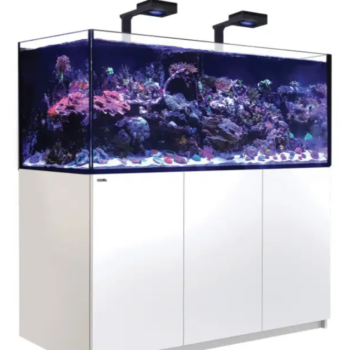 Red Sea REEFER™ XXL625 G2+  Deluxe System – White (... - Μεγάλα > 180 lt
