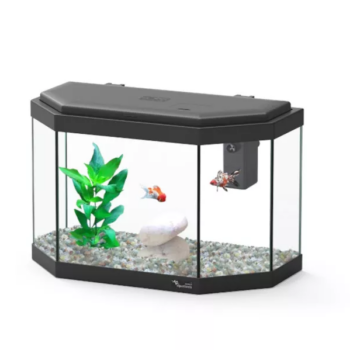 Aquatlantis Explorer Athens Black 15lt 40x20x26.5 - Μικρά < 60 lt