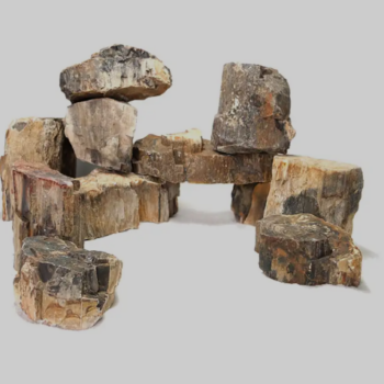 Wooden Fossil Stone 0.1-10kg price per kilo - Πέτρες - Βότσαλα