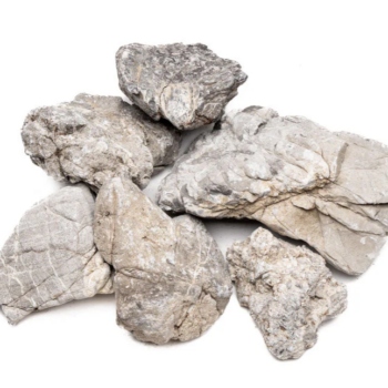 Elephant Skined Stone 0.1-10kg price per kilo - Πέτρες - Βότσαλα
