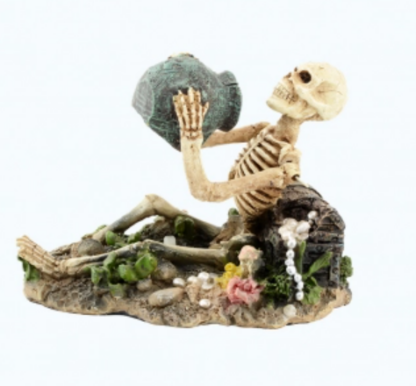 AD Skeleton with Treasure 13.5×9.5×10 - Τεχνητά Διακοσμητικά